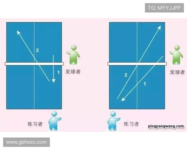 杭州乒乓球队配合策略深度解析与其他球队的对比分析