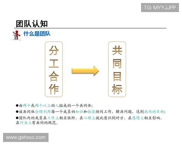 深圳排球队与广州排球队的赛后复盘探讨团队协作的关键因素与表现