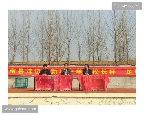 深圳足球队在联赛中的比赛经验与表现分析探讨 深圳足球队在联赛中的比赛经验与表现分析探讨