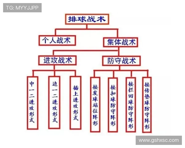 西安排球队中路突破战术解析与技术要点深度剖析